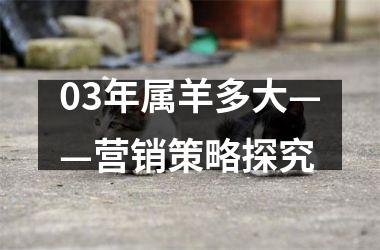 <h3>03年属羊多大——营销策略探究