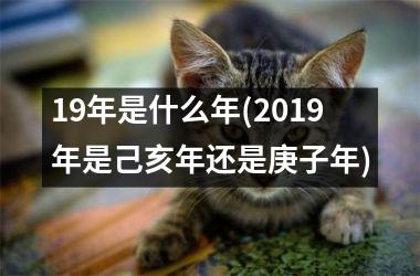 <h3>19年是什么年(2019年是己亥年还是庚子年)