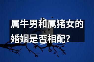 <h3>属牛男和属猪女的婚姻是否相配？