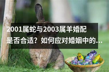 2001属蛇与2003属羊婚配是否合适？如何应对婚姻中的问题？
