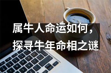 属牛人命运如何，探寻牛年命相之谜