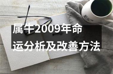 <h3>属牛2009年命运分析及改善方法