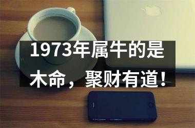 1973年属牛的是木命，聚财有道！