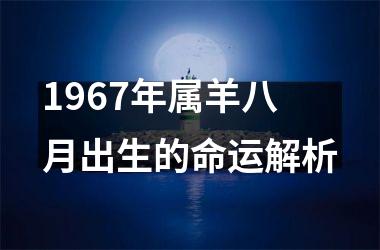 1967年属羊八月出生的命运解析