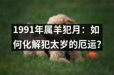 <h3>1991年属羊犯月：如何化解犯太岁的厄运？