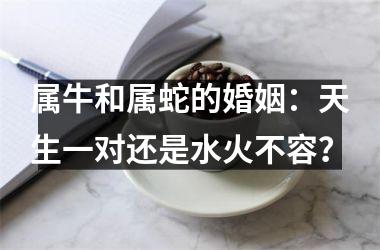 <h3>属牛和属蛇的婚姻：天生一对还是水火不容？