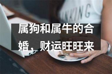 <h3>属狗和属牛的合婚，财运旺旺来