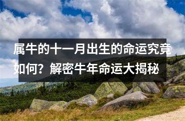 属牛的十一月出生的命运究竟如何？解密牛年命运大揭秘
