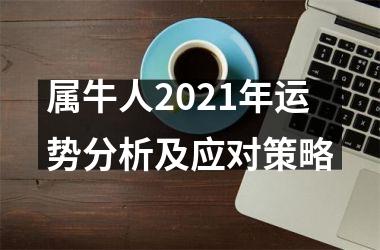 <h3>属牛人2025年运势分析及应对策略