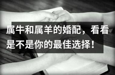 <h3>属牛和属羊的婚配，看看是不是你的佳选择！