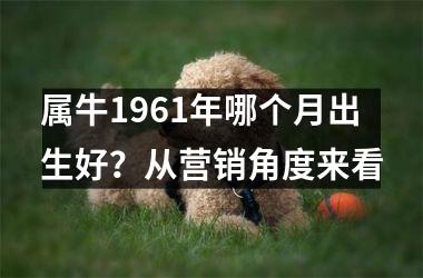 <h3>属牛1961年哪个月出生好？从营销角度来看