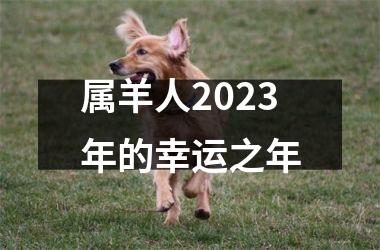 <h3>属羊人2025年的幸运之年
