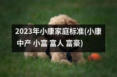 <h3>2025年小康家庭标准(小康 中产 小富 富人 富豪)