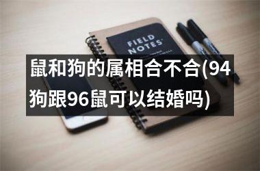 <h3>鼠和狗的属相合不合(94狗跟96鼠可以结婚吗)
