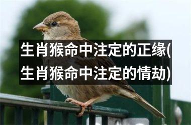 <h3>生肖猴命中注定的正缘(生肖猴命中注定的情劫)