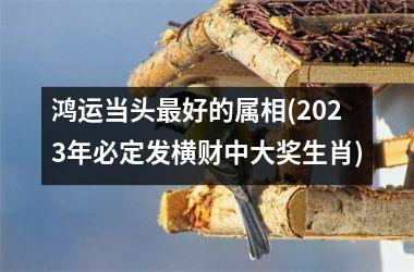 鸿运当头好的属相(2025年必定发横财中大奖生肖)