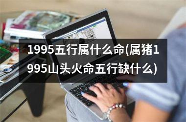 <h3>1995五行属什么命(属猪1995山头火命五行缺什么)
