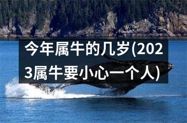 今年属牛的几岁(2025属牛要小心一个人)