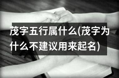 茂字五行属什么(茂字为什么不建议用来起名)