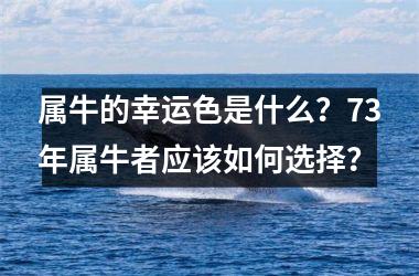 <h3>属牛的幸运色是什么？73年属牛者应该如何选择？