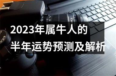 <h3>2025年属牛人的半年运势预测及解析