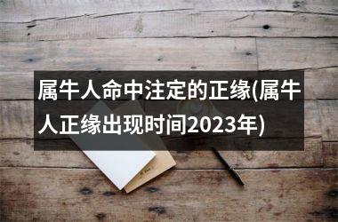 <h3>属牛人命中注定的正缘(属牛人正缘出现时间2025年)