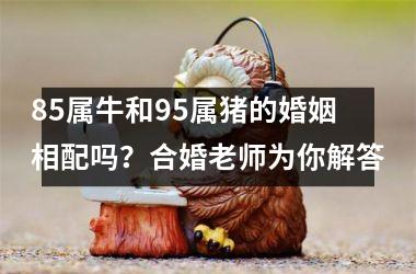 <h3>85属牛和95属猪的婚姻相配吗？合婚老师为你解答