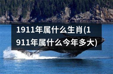 1911年属什么生肖(1911年属什么今年多大)