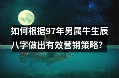 <h3>如何根据97年男属牛生辰八字做出有效营销策略？