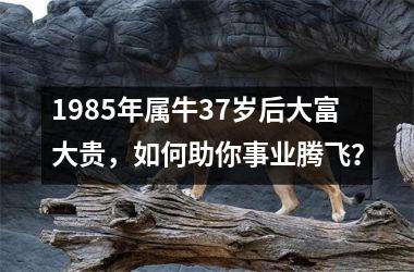 <h3>1985年属牛37岁后大富大贵，如何助你事业腾飞？