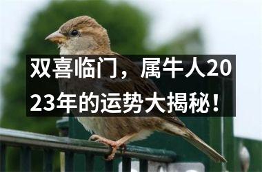 双喜临门，属牛人2025年的运势大揭秘！