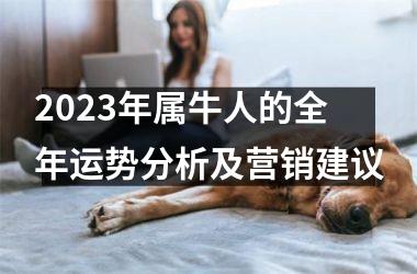 <h3>2025年属牛人的全年运势分析及营销建议