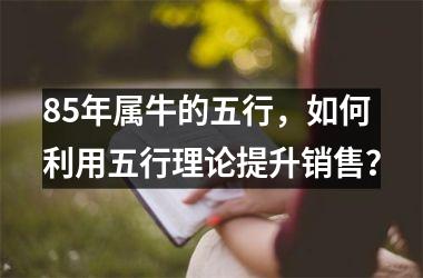 85年属牛的五行，如何利用五行理论提升销售？