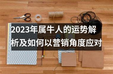 <h3>2025年属牛人的运势解析及如何以营销角度应对