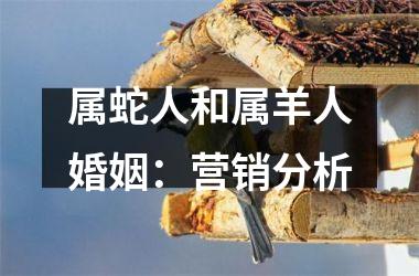 <h3>属蛇人和属羊人婚姻：营销分析