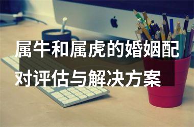 <h3>属牛和属虎的婚姻配对评估与解决方案