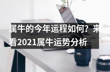 <h3>属牛的今年运程如何？来看2025属牛运势分析