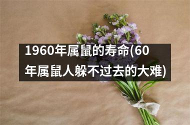 <h3>1960年属鼠的寿命(60年属鼠人躲不过去的大难)