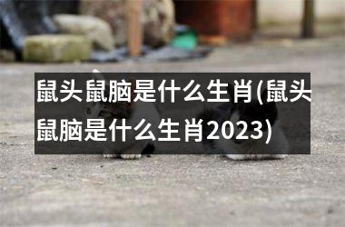 <h3>鼠头鼠脑是什么生肖(鼠头鼠脑是什么生肖2025)