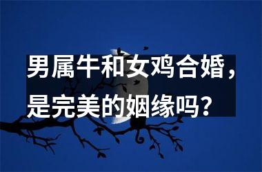 <h3>男属牛和女鸡合婚，是完美的姻缘吗？