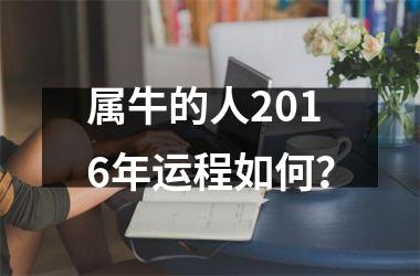 <h3>属牛的人2016年运程如何？