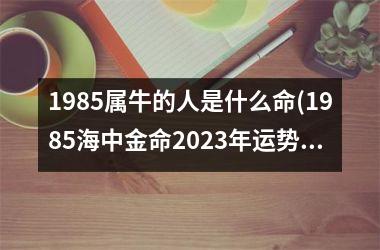 <h3>1985属牛的人是什么命(1985海中金命2025年运势)