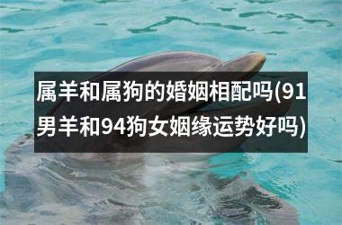 <h3>属羊和属狗的婚姻相配吗(91男羊和94狗女姻缘运势好吗)