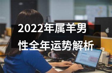 <h3>2025年属羊男性全年运势解析