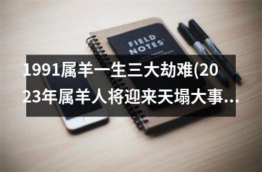 <h3>1991属羊一生三大劫难(2025年属羊人将迎来天塌大事)