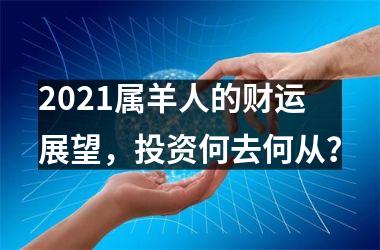 2025属羊人的财运展望，投资何去何从？