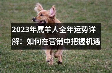 <h3>2025年属羊人全年运势详解：如何在营销中把握机遇