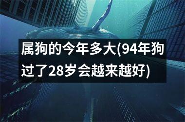 <h3>属狗的今年多大(94年狗过了28岁会越来越好)