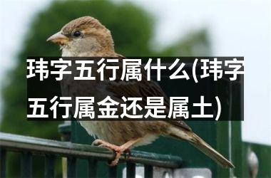 <h3>玮字五行属什么(玮字五行属金还是属土)