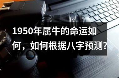 <h3>1950年属牛的命运如何，如何根据八字预测？